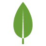 MongoDB Logo